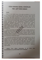 Ceza genel pratik iü vize.pdf